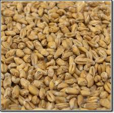 Wheat Malt pale (Пшеничен светъл малц) Кастъл малт Белгия - Кликнете на изображението, за да го затворите