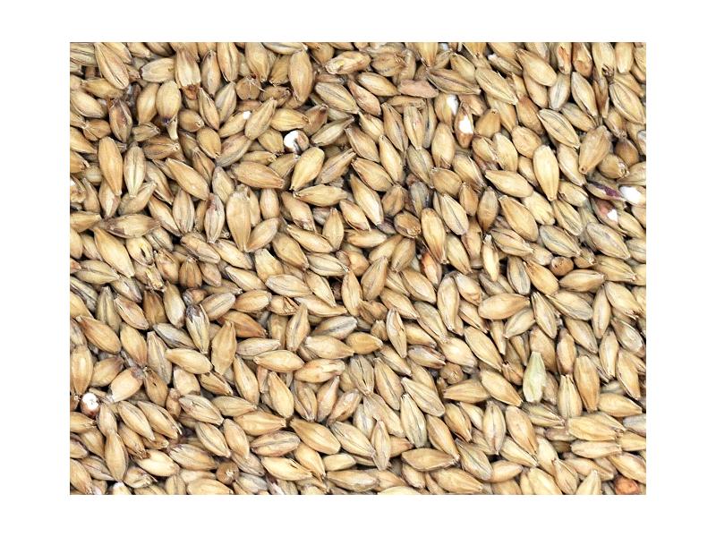 Weyermann's Bohemian Pilsner Malt