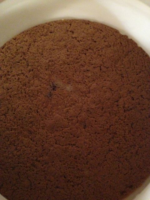 Ирландски мъх 20gr. Ирландски мъх 20gr.
