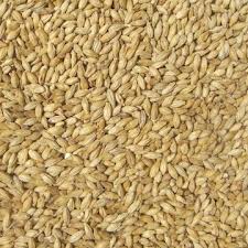 Acidulated Malt