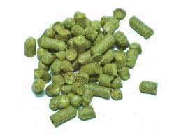 Bulgarian hop variety Perle 2020