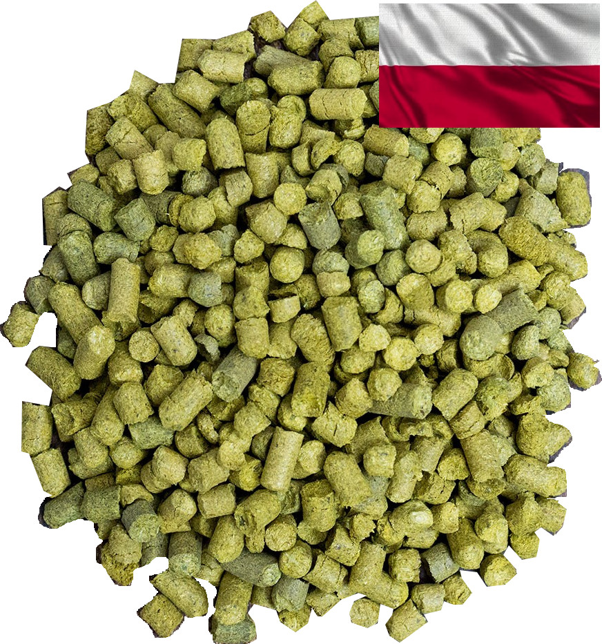 Poland hops Lubelski