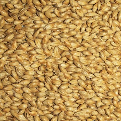 cara-malt.jpg