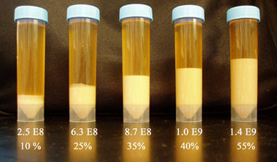 sedimentation.jpg