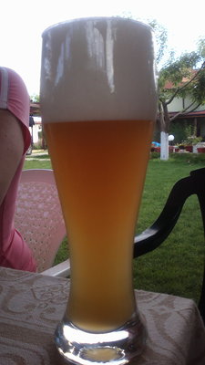 Weizen 02.05.2013.jpg