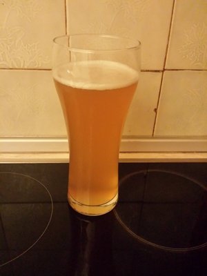 pale ale #4.jpg