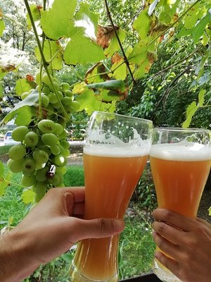 weizen.jpg