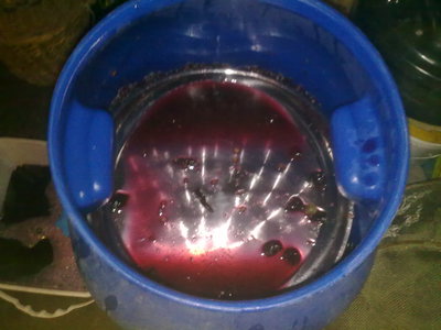 23092013592.jpg