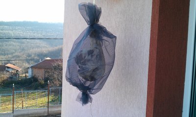 IMAG1227.jpg